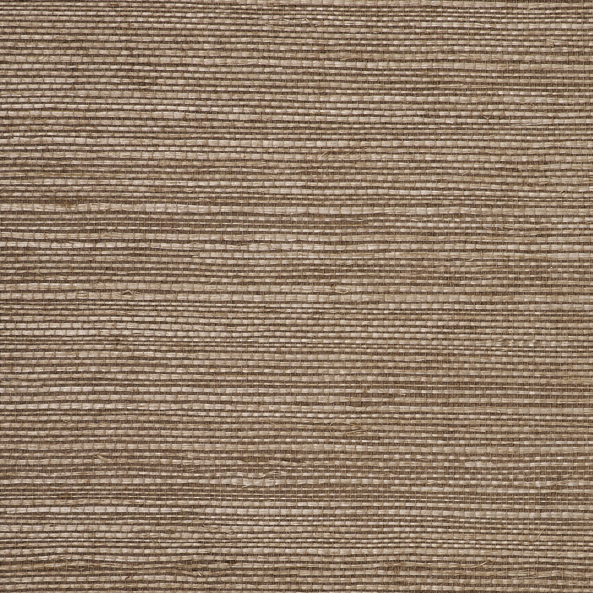 MANILA-HEMP-NUTMEG-PHILLIP-JEFFRIES-5409