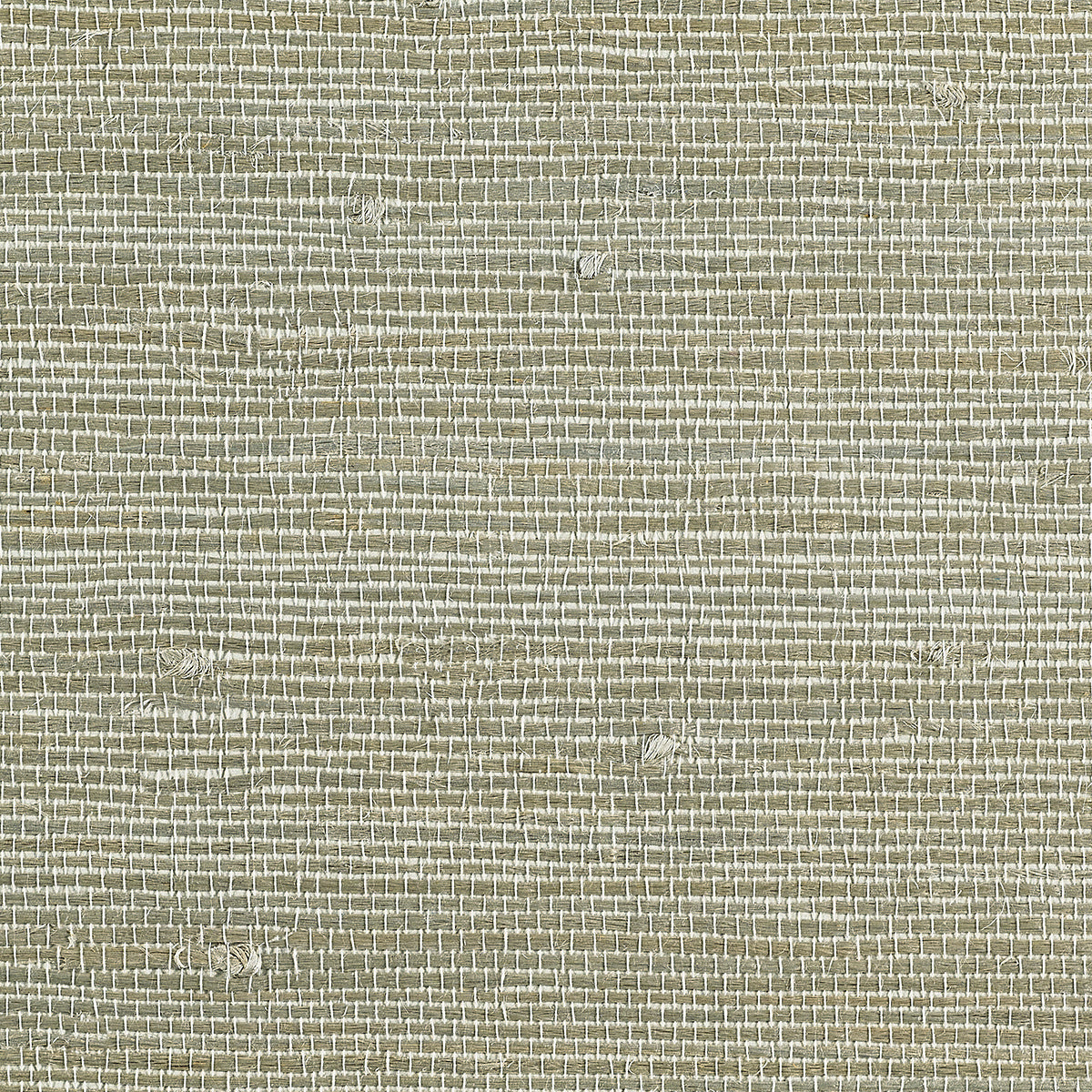 JUICY-JUTE-WANDERING-PATH-PHILLIP-JEFFRIES-9248