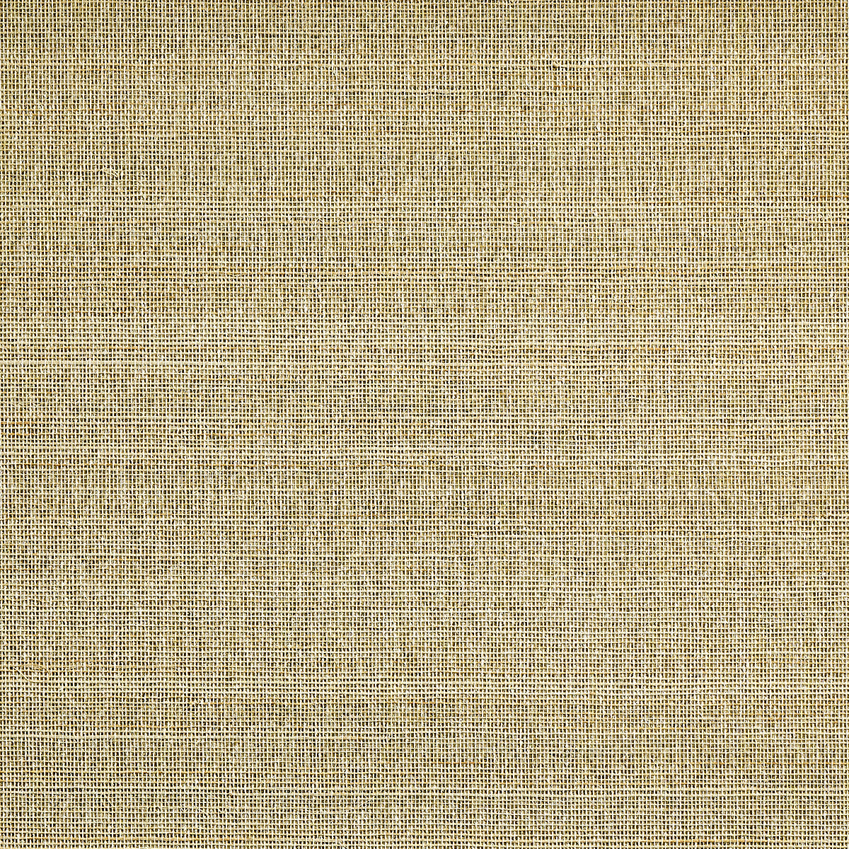 ABACA-MIST-MORNING-RAYS-PHILLIP-JEFFRIES-4887 - Phillip Jeffries Wallpaper Wallpaper