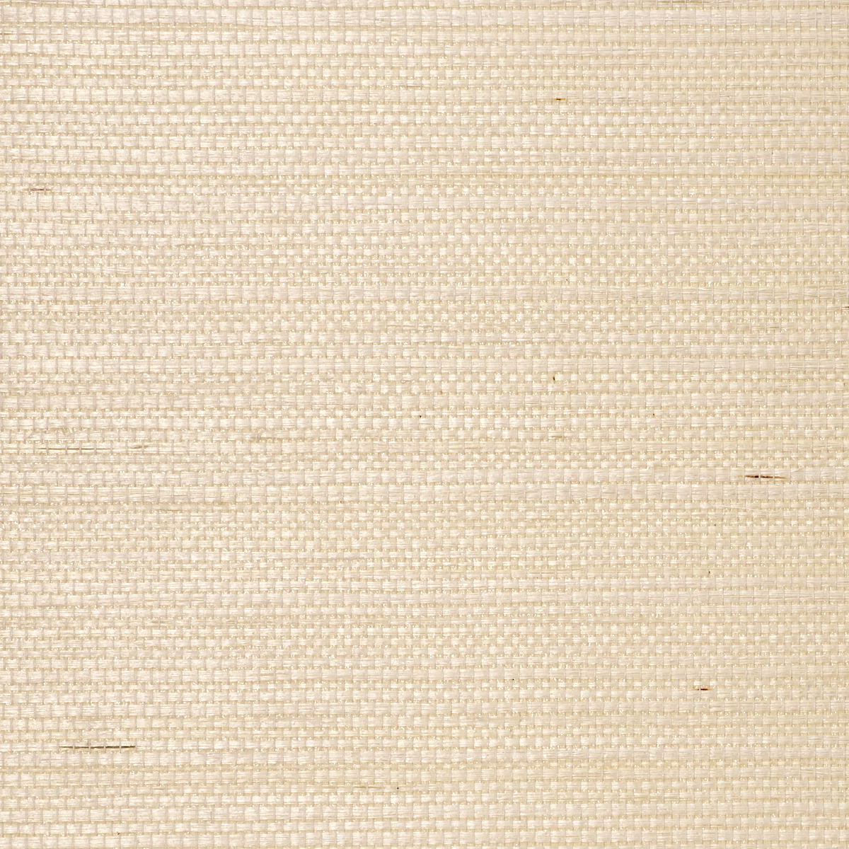 MANILA-HEMP-SUGAR-COOKIE-PHILLIP-JEFFRIES-9825