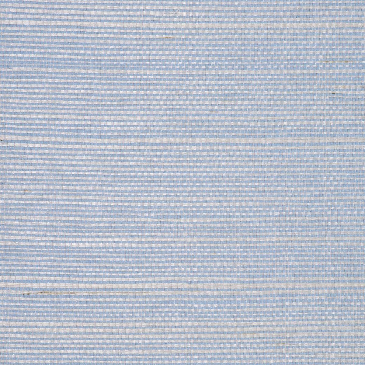 BERMUDA-HEMP-FROSTY-BLUE-PHILLIP-JEFFRIES-9806