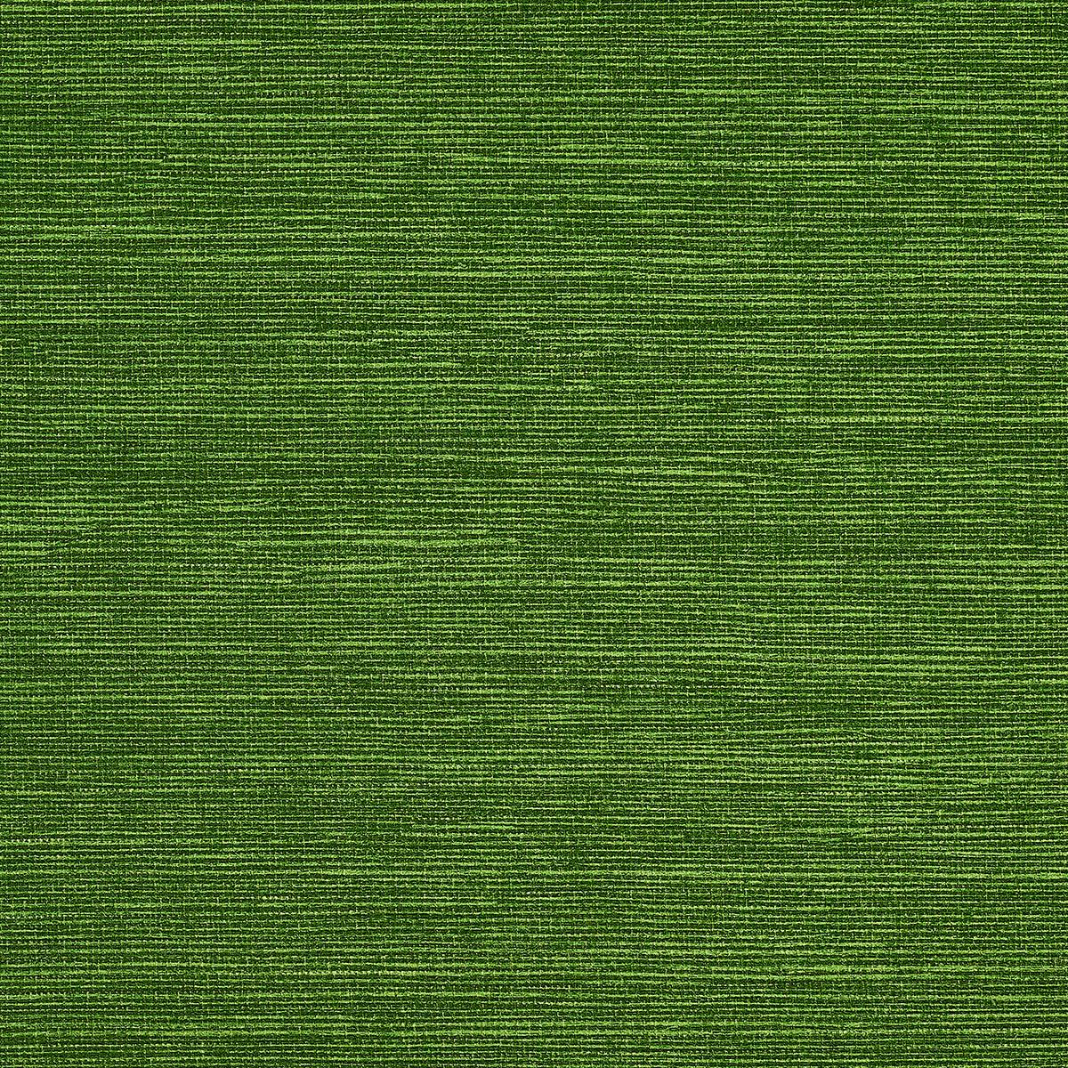 PJ-COLOR-SPLASH-GRASS-PHILLIP-JEFFRIES-9745