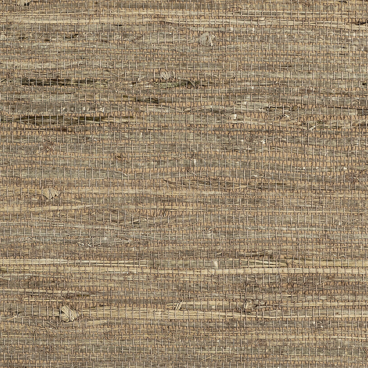 EXTRA-FINE-ARROWROOT-TOBACCO-PHILLIP-JEFFRIES-075 - Phillip Jeffries Wallpaper Wallpaper