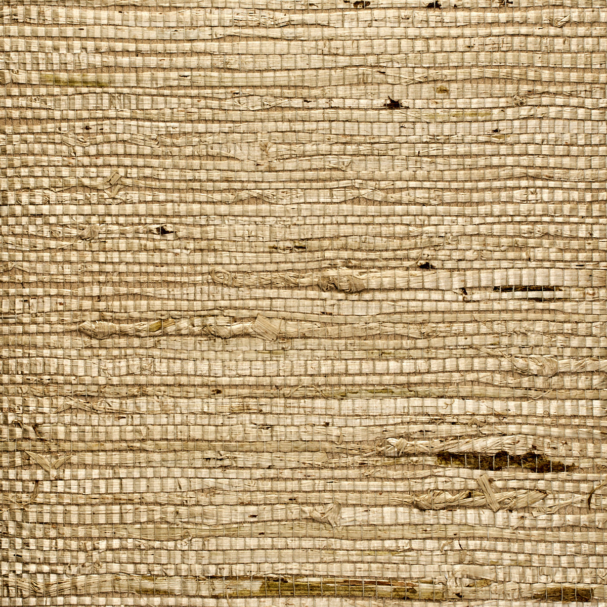 EXTRA-FINE-ARROWROOT-GARDEN-STONE-PHILLIP-JEFFRIES-3838