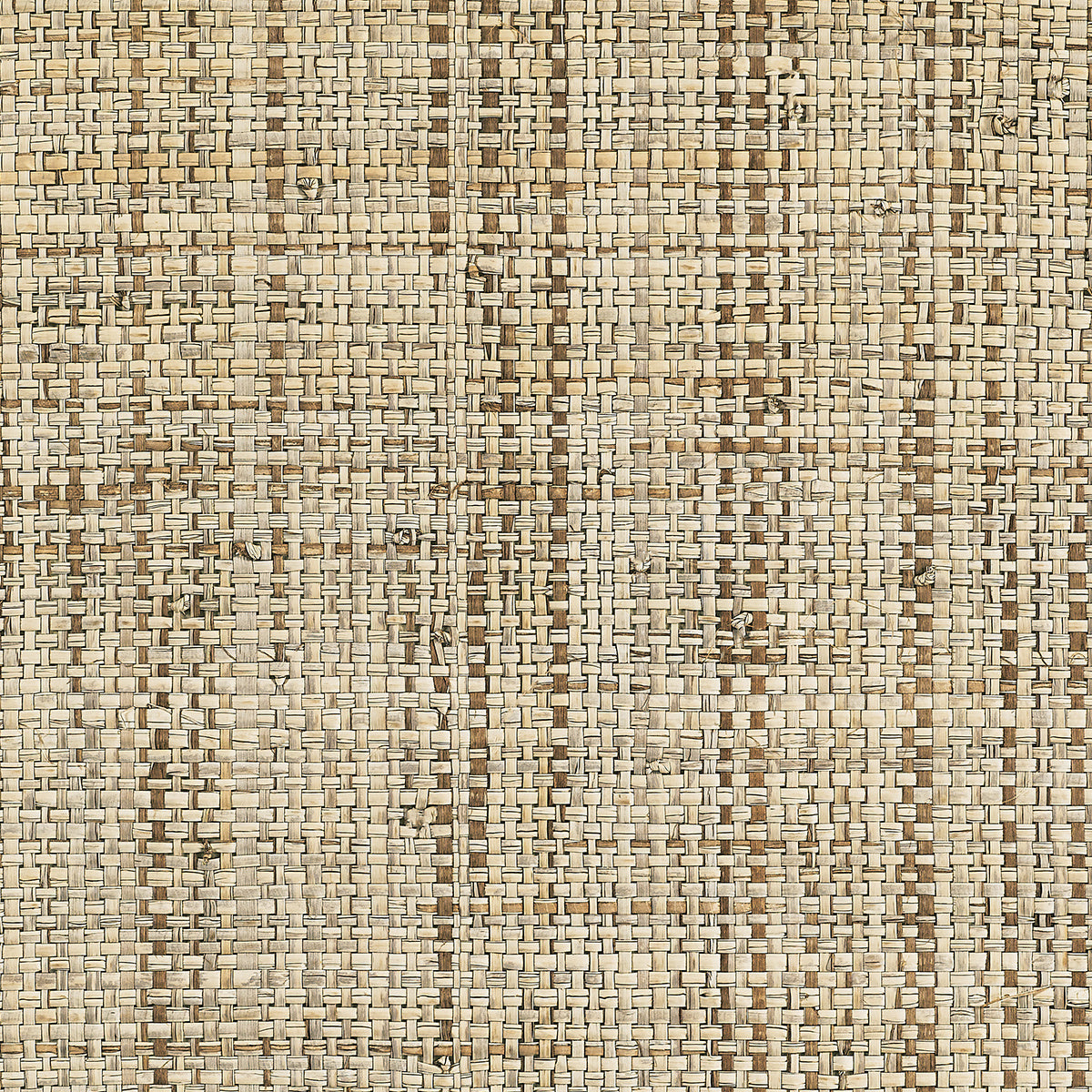 ISLAND-RAFFIA-DASH-OF-CLOVE-PHILLIP-JEFFRIES-1307 - Phillip Jeffries Wallpaper Wallpaper