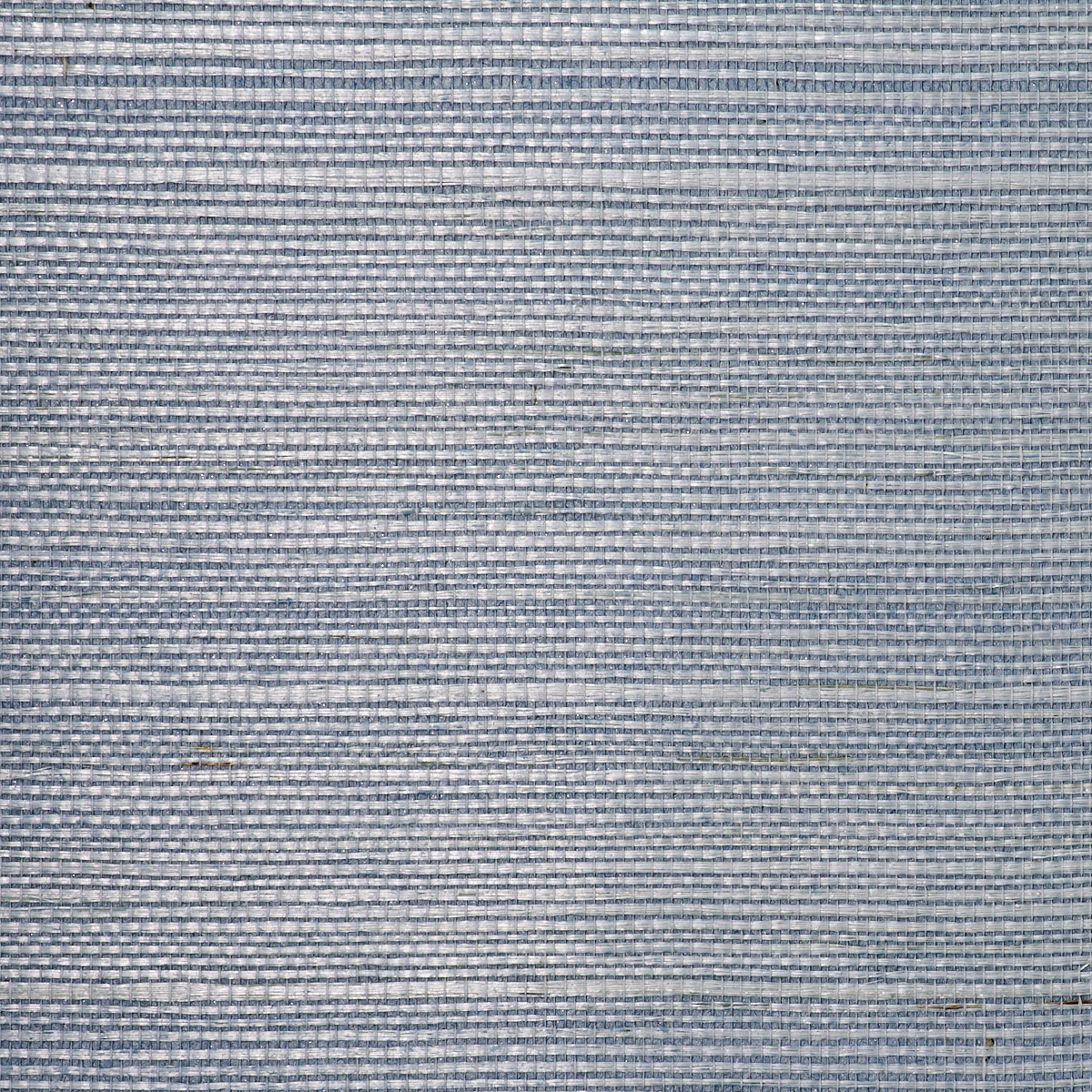 MANILA-HEMP-SERENE-PHILLIP-JEFFRIES-9814