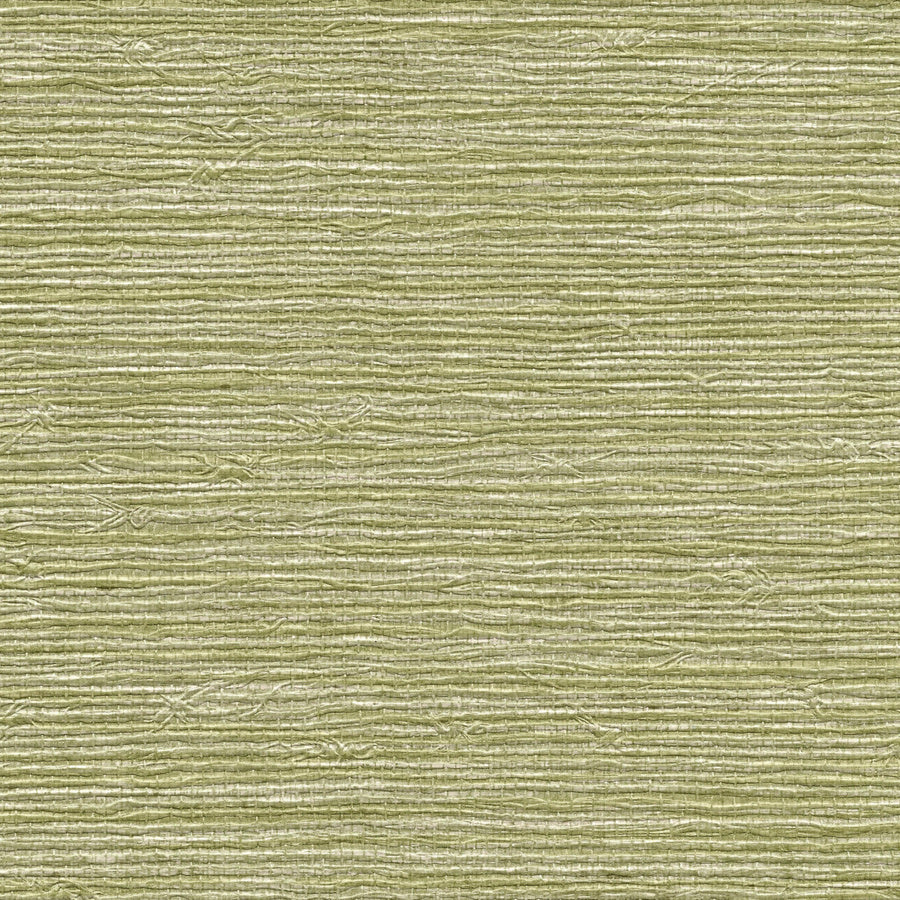 VINYL-ARROWROOT-CHARTREUSE-PHILLIP-JEFFRIES-7644 - Phillip Jeffries Wallpaper Wallcovering