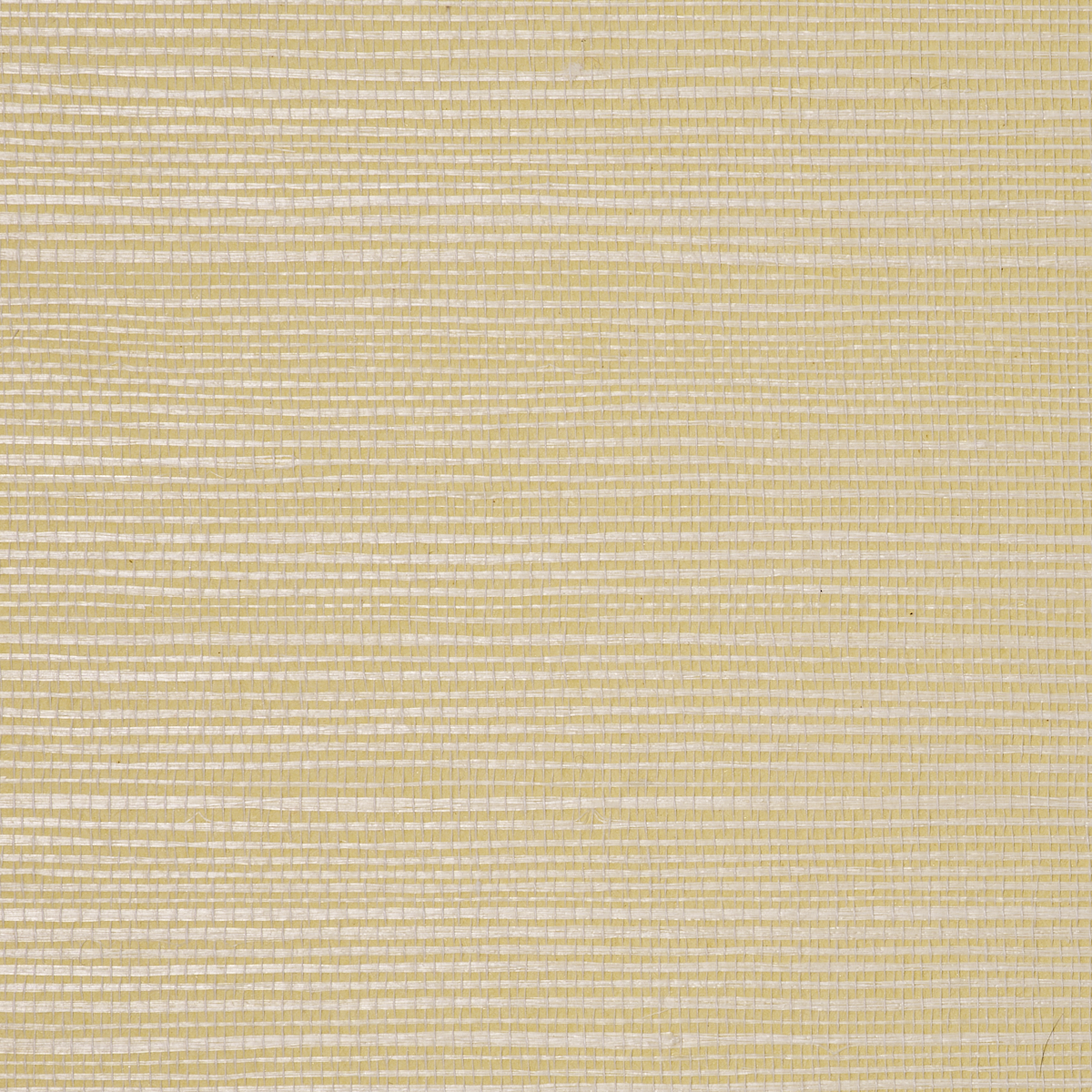 BERMUDA-HEMP-CITRUS-PHILLIP-JEFFRIES-5520