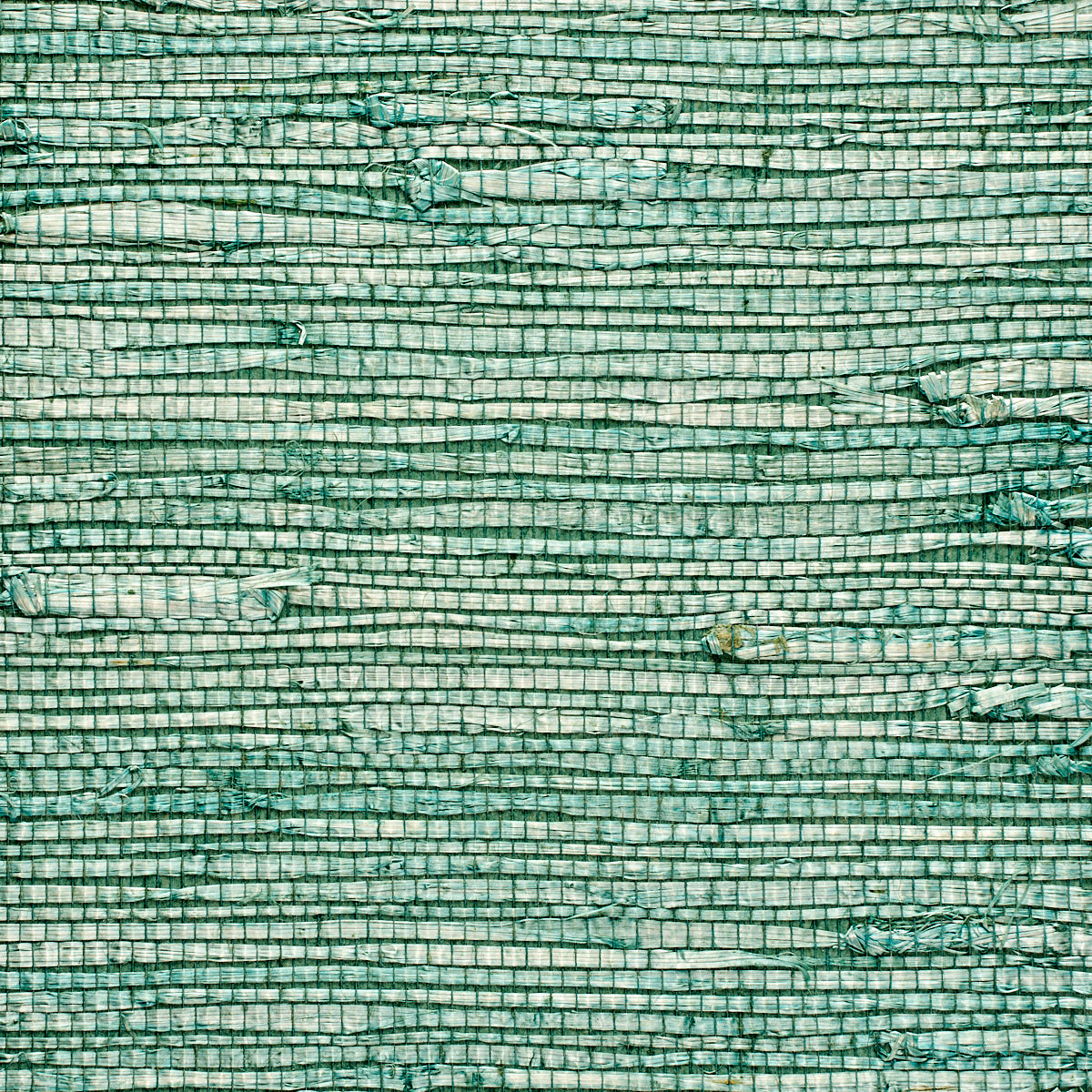 EXTRA-FINE-ARROWROOT-KEY-WEST-PHILLIP-JEFFRIES-1965 - Phillip Jeffries Wallpaper Wallpaper