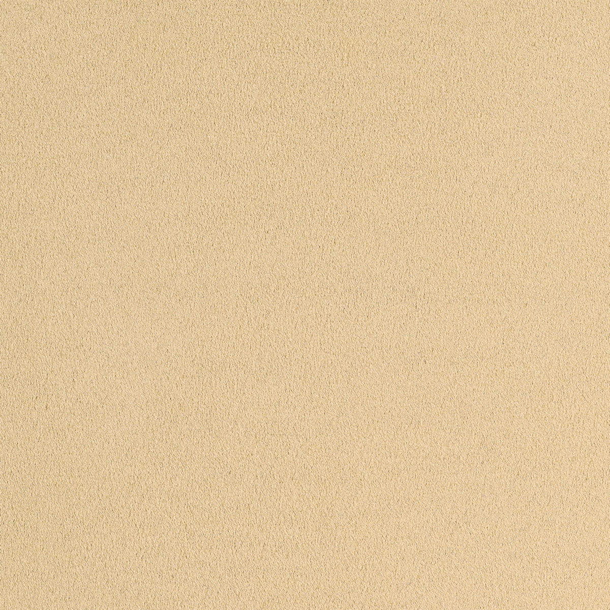 SUEDE-LOUNGE-VANILLA-VELVET-PHILLIP-JEFFRIES-4333 - Phillip Jeffries Wallpaper Wallpaper