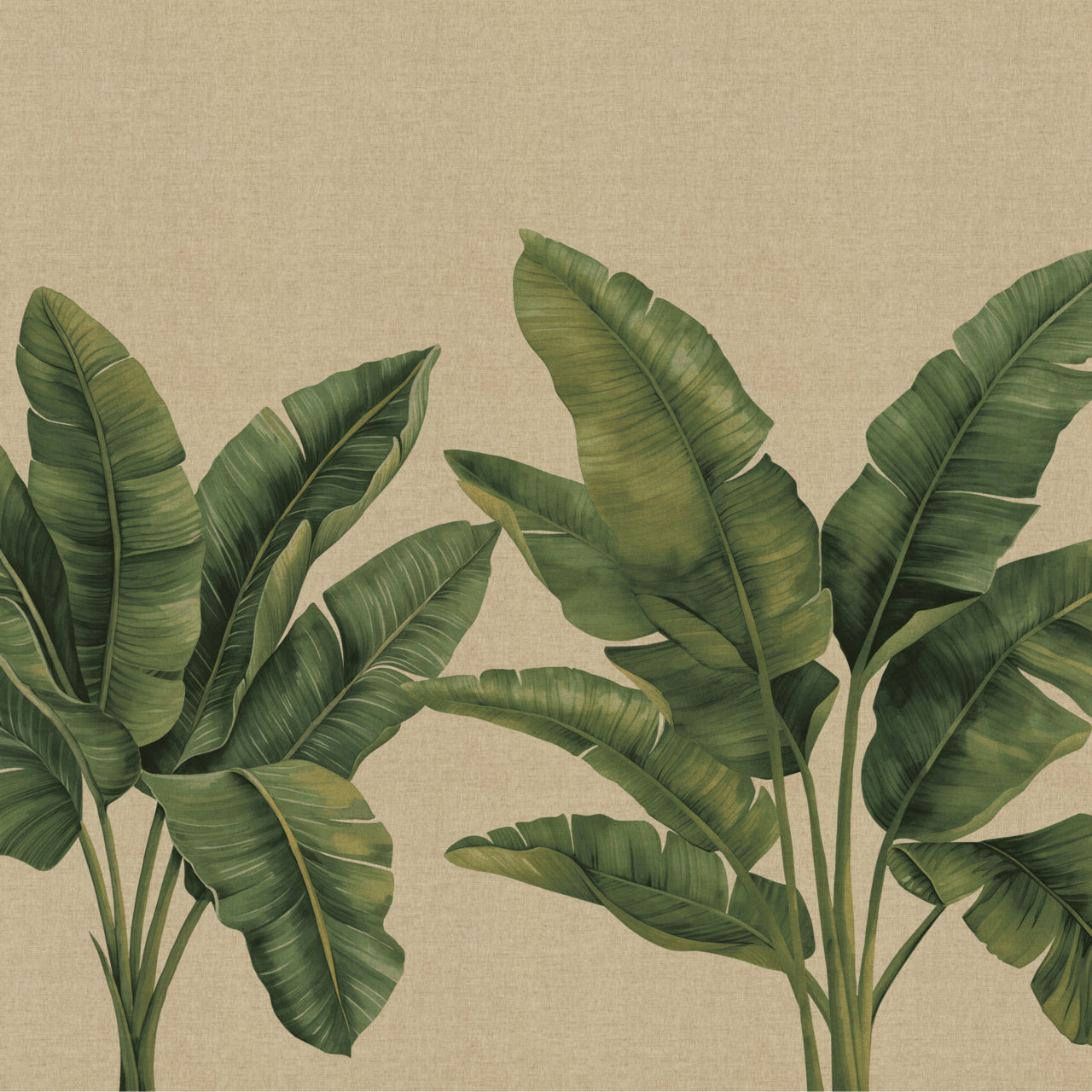 PALMERA-OASIS-SHADE-ON-JAPANESE-PAPERWEAVE-PHILLIP-JEFFRIES-31003 - Phillip Jeffries Wallpaper Wallcovering