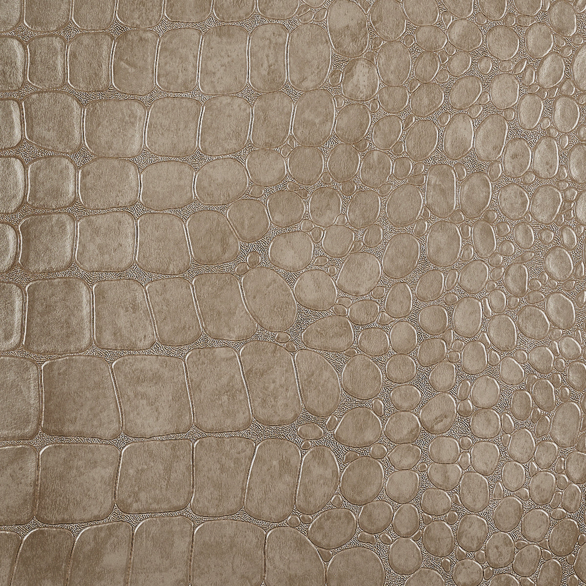 VINYL-CROCODILE-ROCK-SALTWATER-SAND-PHILLIP-JEFFRIES-10212 - Phillip Jeffries Wallpaper Wallpaper