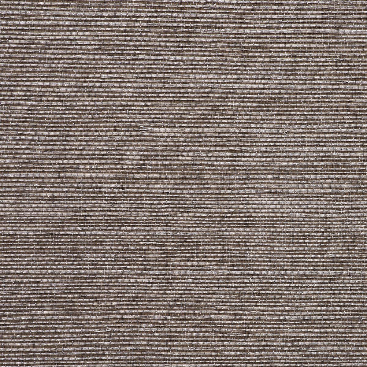 SAINT-GERMAIN-HEMP-SILVER-ON-PUTTY-PHILLIP-JEFFRIES-5294 - Phillip Jeffries Wallpaper Wallpaper
