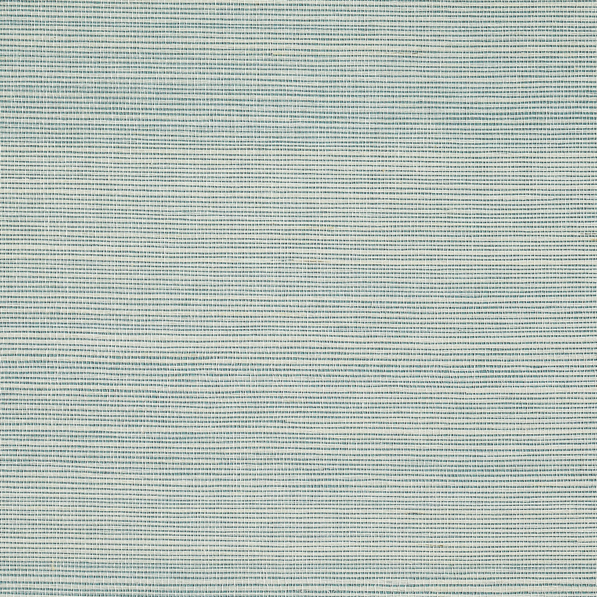 BERMUDA-HEMP-MORNING-RAIN-PHILLIP-JEFFRIES-9804