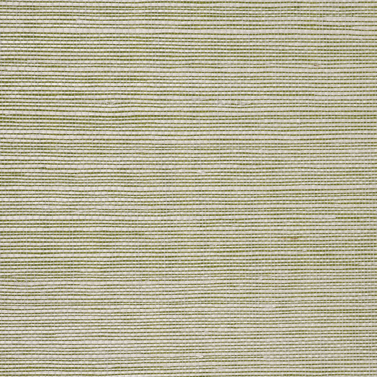 BERMUDA-HEMP-GRASS-GREEN-PHILLIP-JEFFRIES-5253