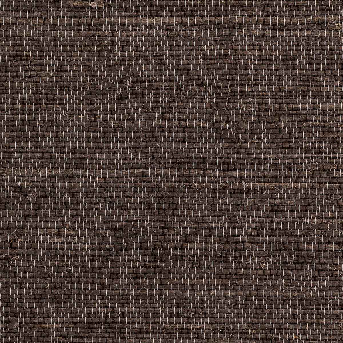 JUICY-JUTE-SEA-OTTER-PHILLIP-JEFFRIES-9262