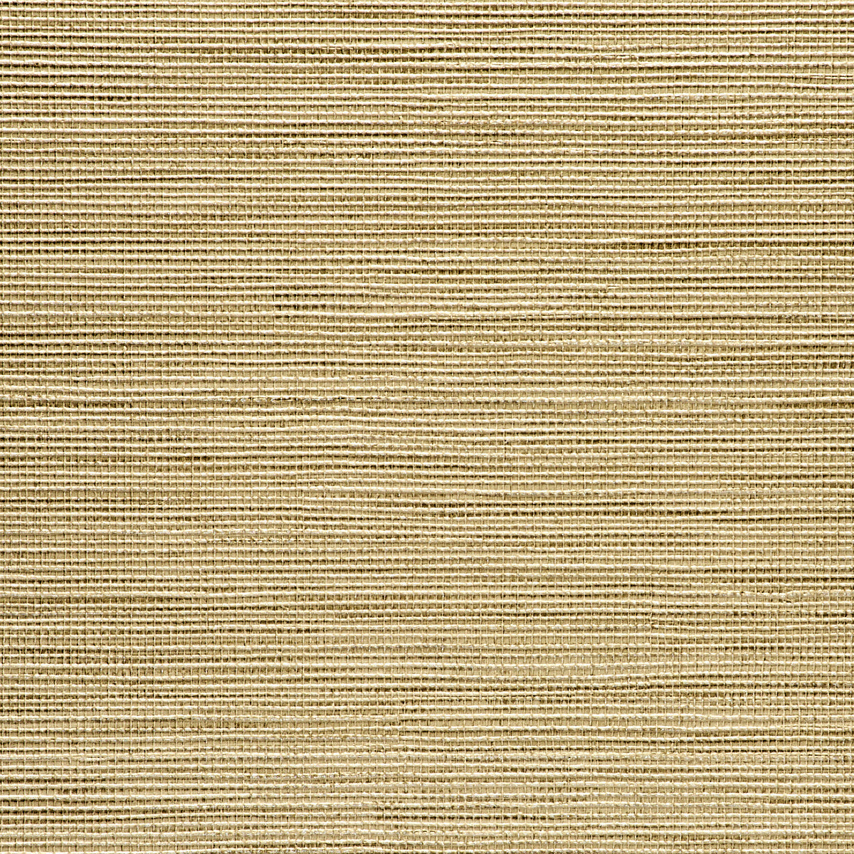 VINYL-GLAM-GRASS-RAIN-PHILLIP-JEFFRIES-3786 - Phillip Jeffries Wallpaper Wallpaper