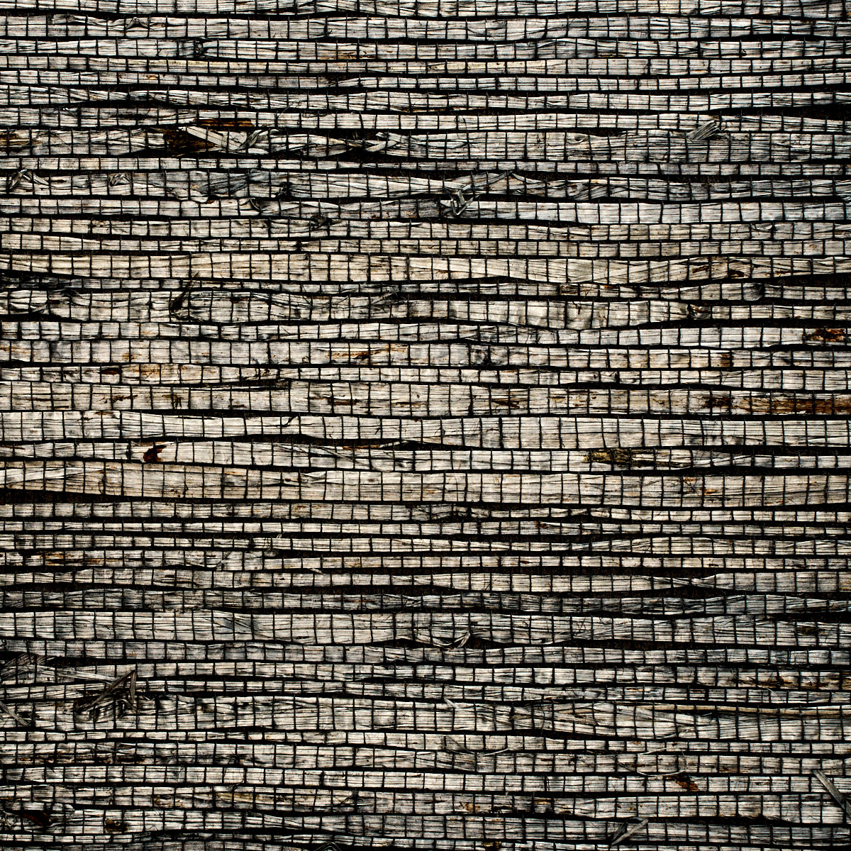 EXTRA-FINE-ARROWROOT-GUNMETAL-PHILLIP-JEFFRIES-3195 - Phillip Jeffries Wallpaper Wallpaper