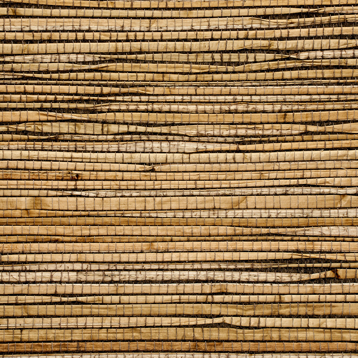 GRASS-ROOTS-JEFFRIES-GREY-PHILLIP-JEFFRIES-3388 - Phillip Jeffries Wallpaper Wallpaper