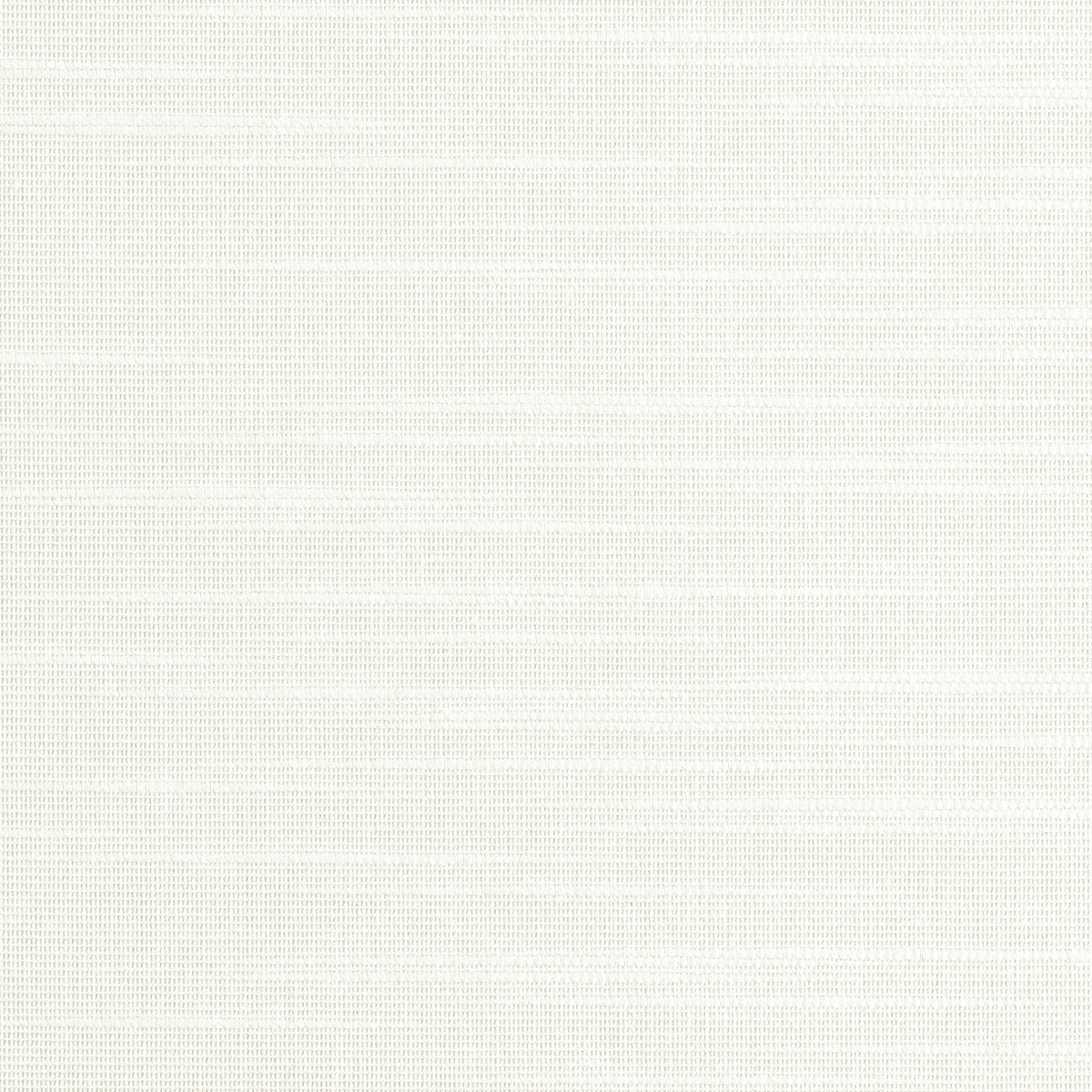 SET-SAIL-SAND-DOLLAR-PHILLIP-JEFFRIES-10261 - Phillip Jeffries Wallpaper Wallcovering