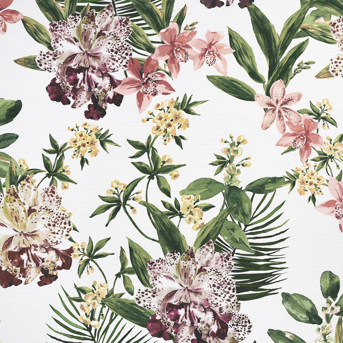 ALOHA-ORCHIDS-MAI-TAI-MULTI-ON-WOVEN-WALLS-PHILLIP-JEFFRIES-10556 - Phillip Jeffries Wallpaper Wallcovering