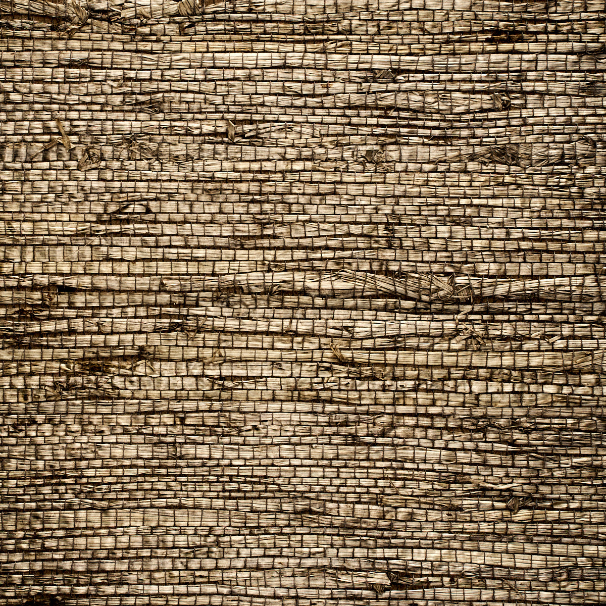 EXTRA-FINE-ARROWROOT-FOG-PHILLIP-JEFFRIES-3568