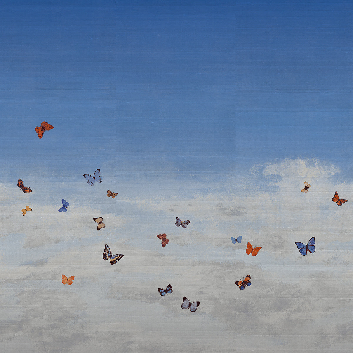 BUTTERFLY-SKY-BLUE-MORPHO-ON-STAR-DUST-SILK-PHILLIP-JEFFRIES-9669 - Phillip Jeffries Wallpaper Wallcovering