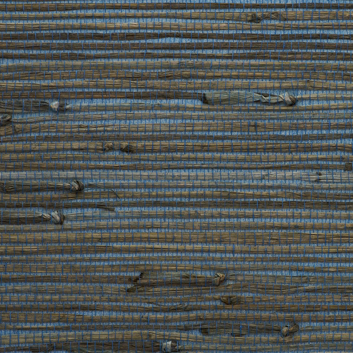 GALLANT-GRASSES-BIRD-SONG-PHILLIP-JEFFRIES-9037 - Phillip Jeffries Wallpaper Wallpaper