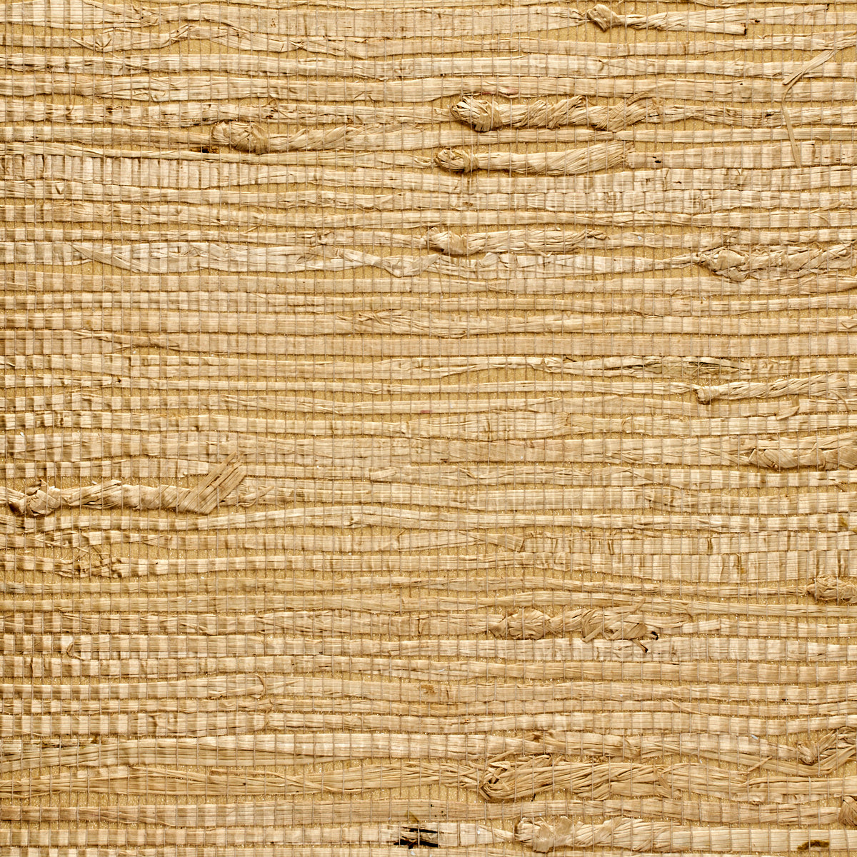 EXTRA-FINE-ARROWROOT-MAPLE-PHILLIP-JEFFRIES-072