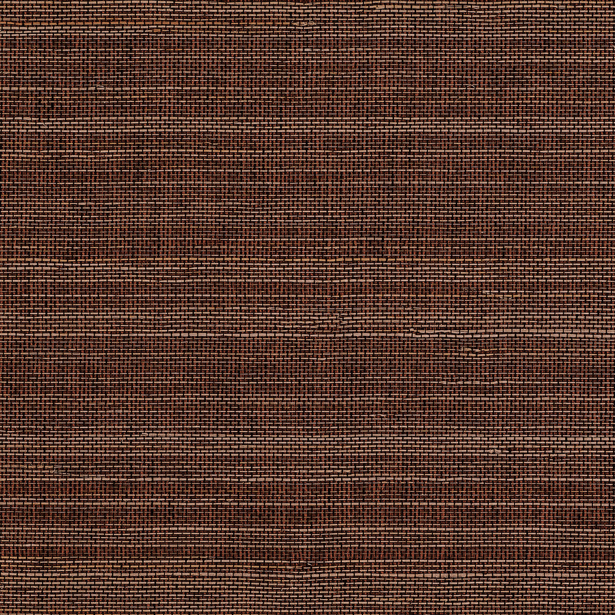 HORSEHAIR-BAY-BROWN-PHILLIP-JEFFRIES-10772 - Phillip Jeffries Wallpaper Wallpaper