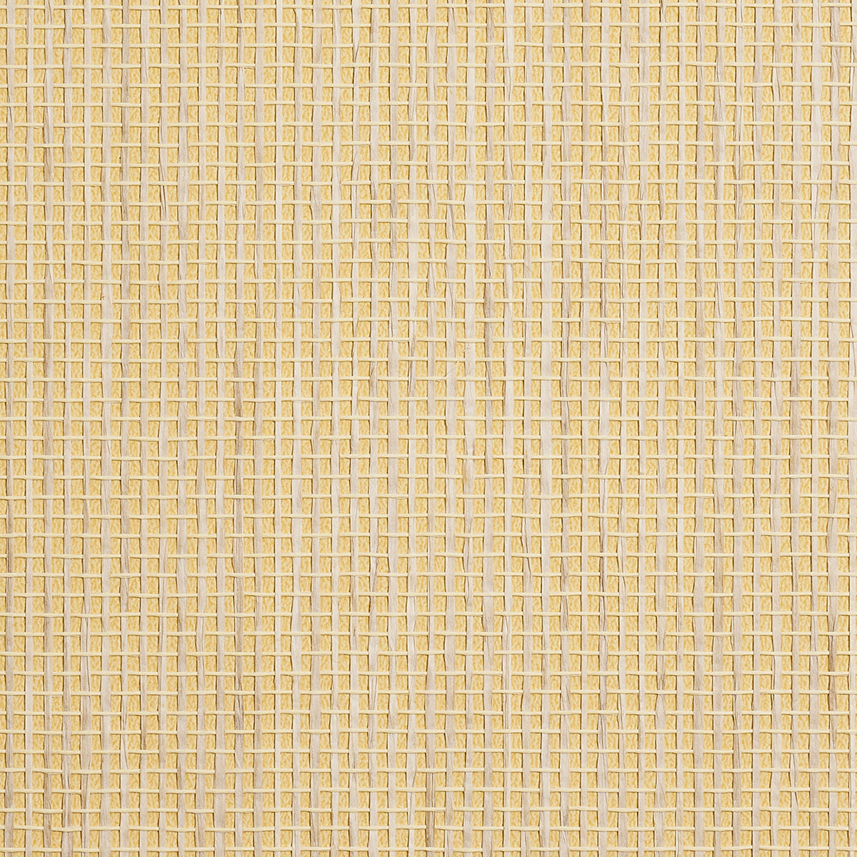 COASTAL-WEAVE-MIDDAY-SUN-PHILLIP-JEFFRIES-9884 - Phillip Jeffries Wallpaper Wallpaper