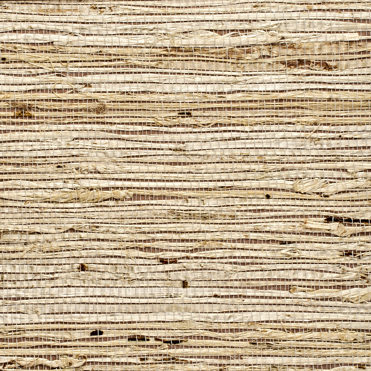 EXTRA-FINE-ARROWROOT-MINERAL-PHILLIP-JEFFRIES-3837