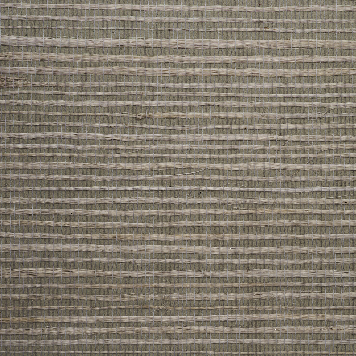 JUICY-JUTE-LAMBS-EAR-PHILLIP-JEFFRIES-4777
