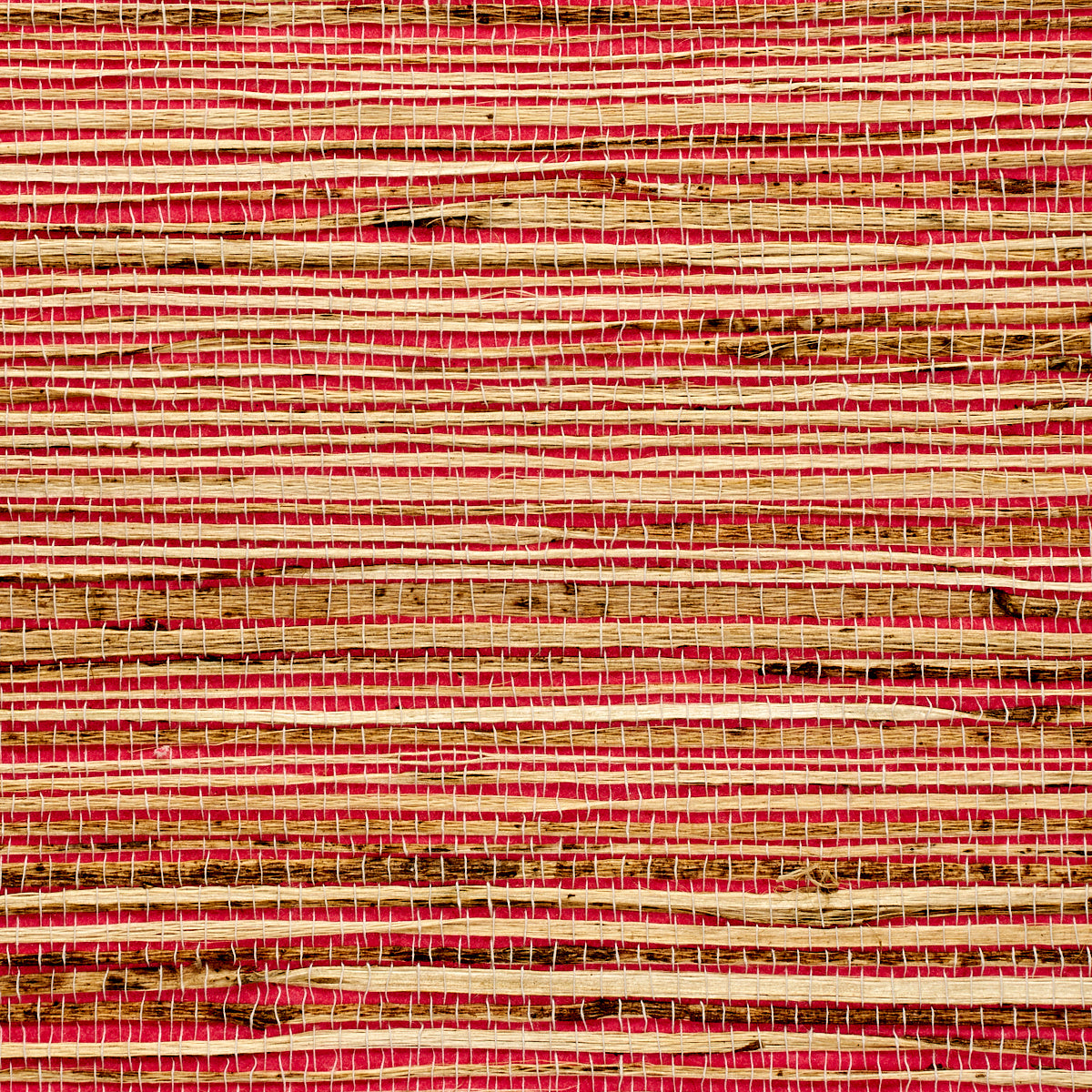 GRASS-ROOTS-PINK-PASSION-PHILLIP-JEFFRIES-3376 - Phillip Jeffries Wallpaper Wallpaper