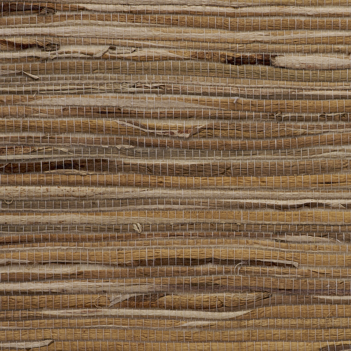JUICY-JUTE-LEMONGRASS-PHILLIP-JEFFRIES-4781 - Phillip Jeffries Wallpaper Wallpaper
