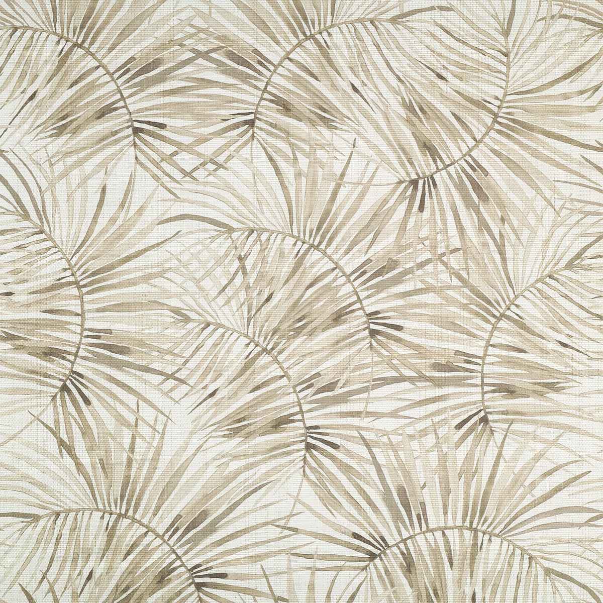 Island Time Sandy Shores on Cloud Nine Tranquil Weave - Phillip Jeffries 10455 -Wallpaper - Phillip Jeffries Wallpaper Wallpaper