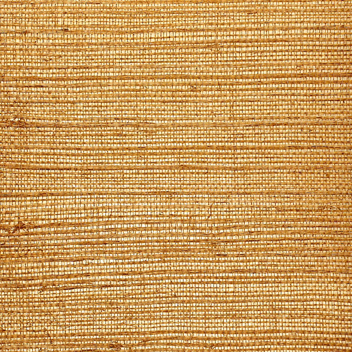 GLAM-GRASS-REFINED-GOLD-PHILLIP-JEFFRIES-1944 - Phillip Jeffries Wallpaper Wallpaper