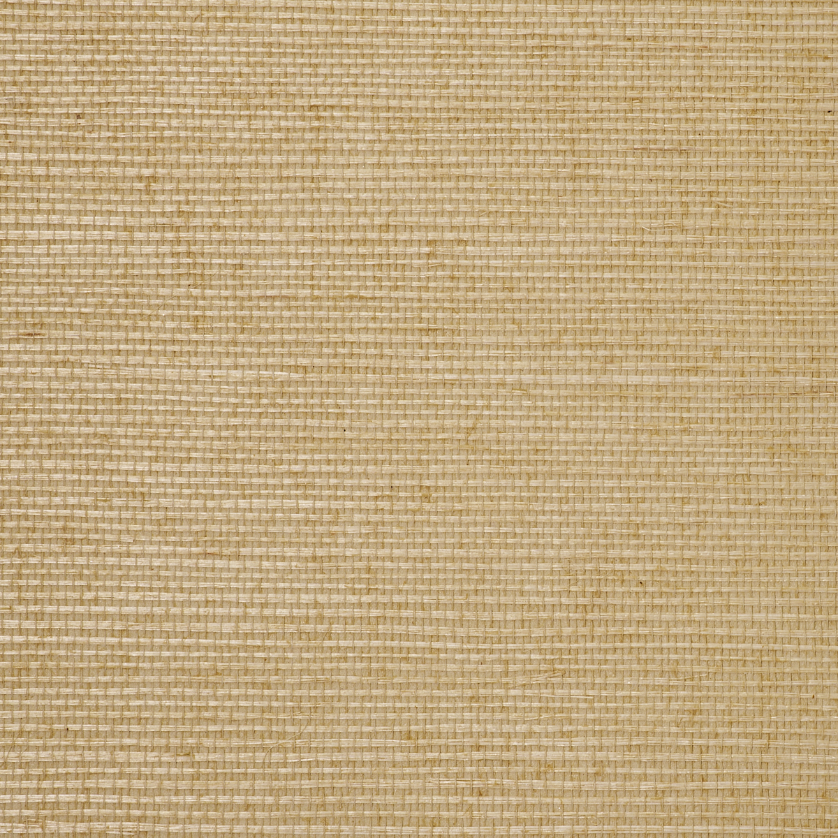 MANILA-HEMP-SUNSHINE-PHILLIP-JEFFRIES-5238 - Phillip Jeffries Wallpaper Wallpaper
