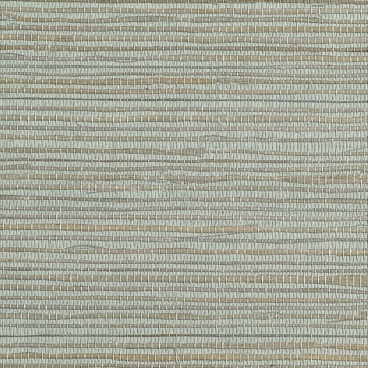 JUICY-JUTE-LAMBS-EAR-PHILLIP-JEFFRIES-4777