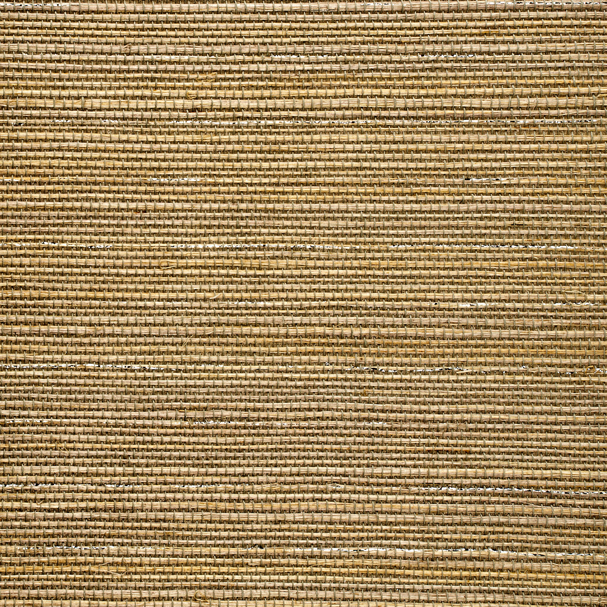 GLAM-GRASS-WINDSOR-GREY-PHILLIP-JEFFRIES-5224 - Phillip Jeffries Wallpaper Wallpaper