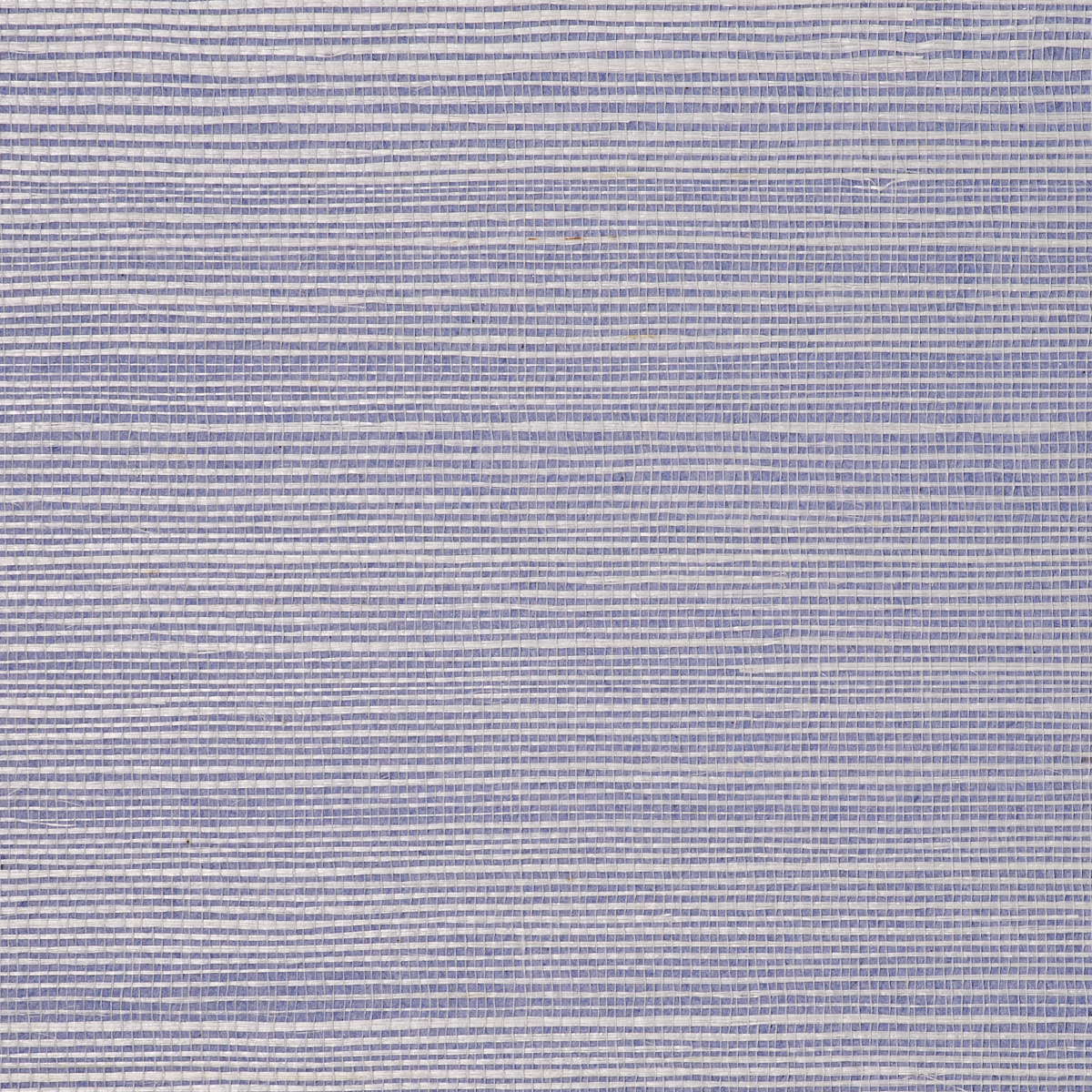 BERMUDA-HEMP-PERIWINKLE-PHILLIP-JEFFRIES-5527