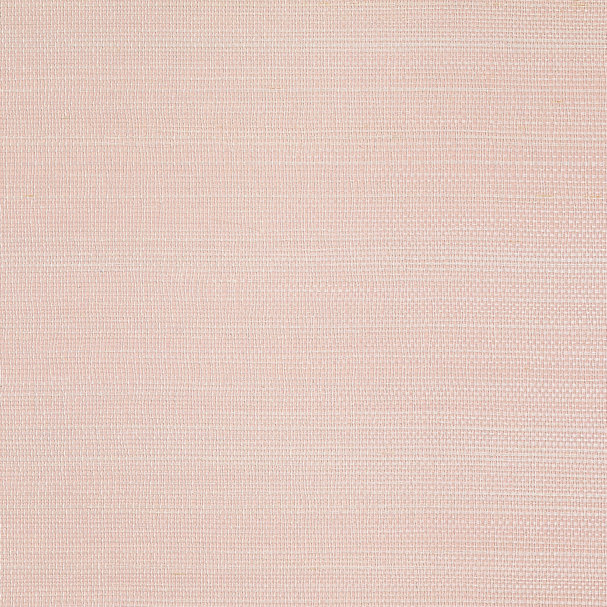 BERMUDA-HEMP-PIGLET-PHILLIP-JEFFRIES-9807