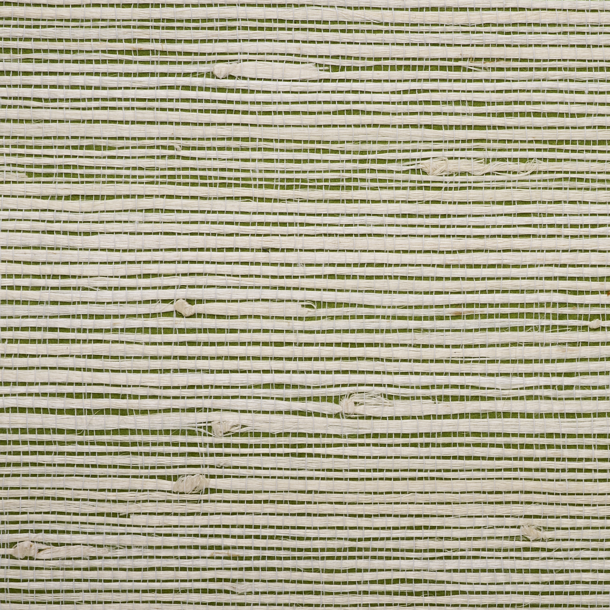JAZZY-JUTE-GREEN-GROOVE-PHILLIP-JEFFRIES-8851