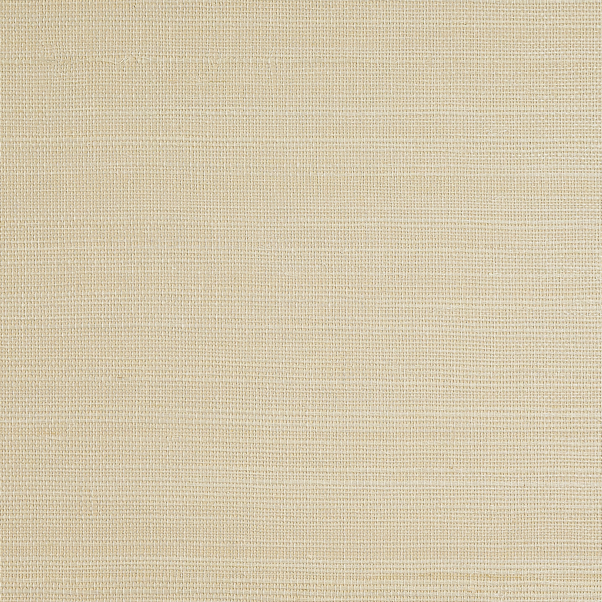 BERMUDA-HEMP-HEAVY-CREAM-PHILLIP-JEFFRIES-5519