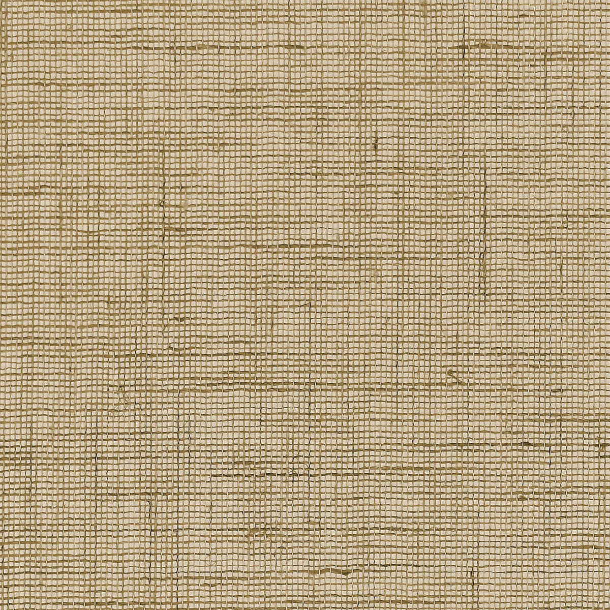 SEASIDE-LINEN-SUN-PHILLIP-JEFFRIES-5558 - Phillip Jeffries Wallpaper Wallpaper