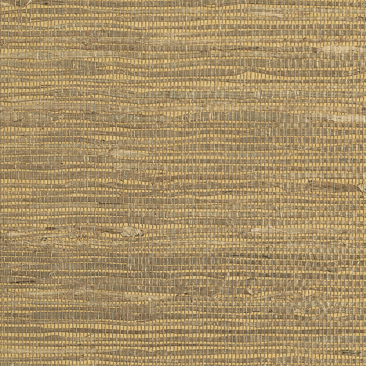 EXTRA-FINE-ARROWROOT-KHAKI-PHILLIP-JEFFRIES-074
