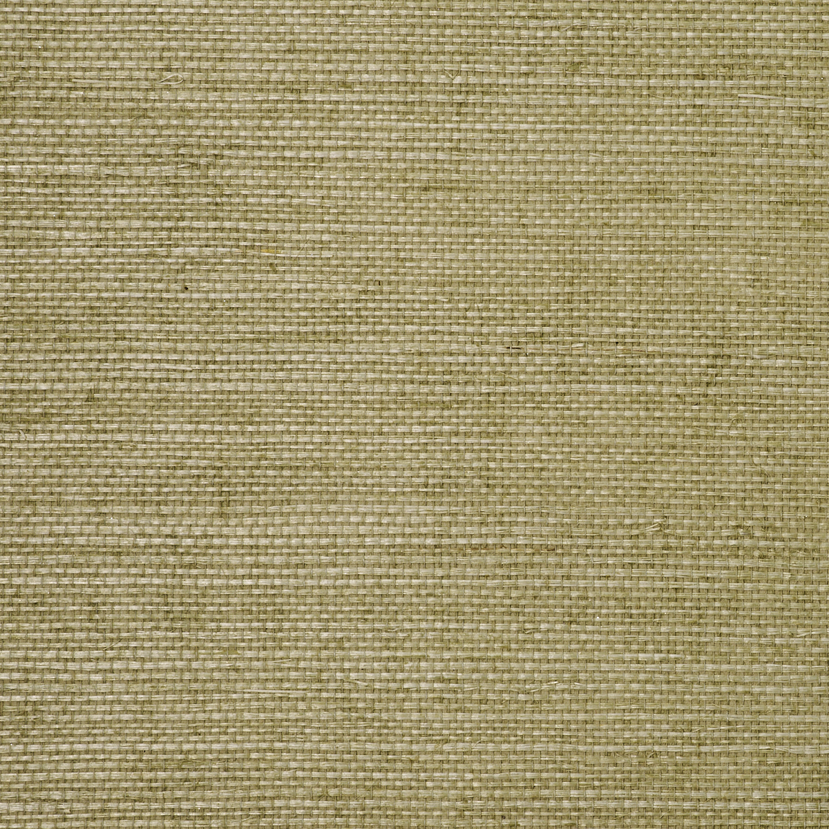 MANILA-HEMP-SPRING-GREEN-PHILLIP-JEFFRIES-5242