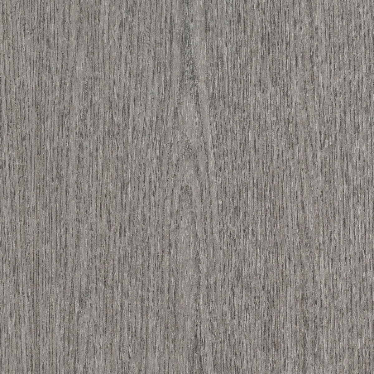 VINYL-WOODWORK-SILVER-BIRCH-PHILLIP-JEFFRIES-29602 - Phillip Jeffries Wallpaper Wallpaper