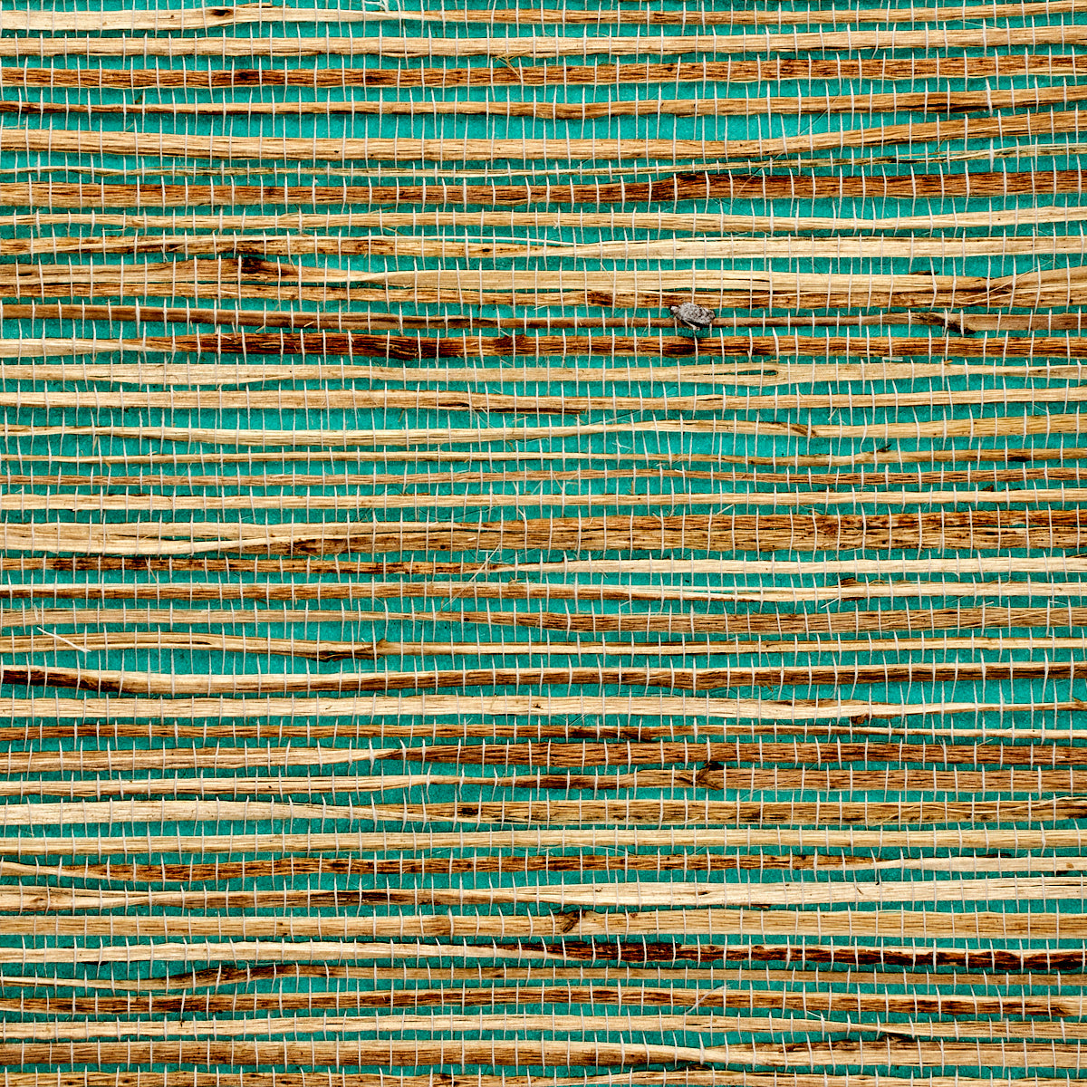 GRASS-ROOTS-TESS-TURQUOISE-PHILLIP-JEFFRIES-3377