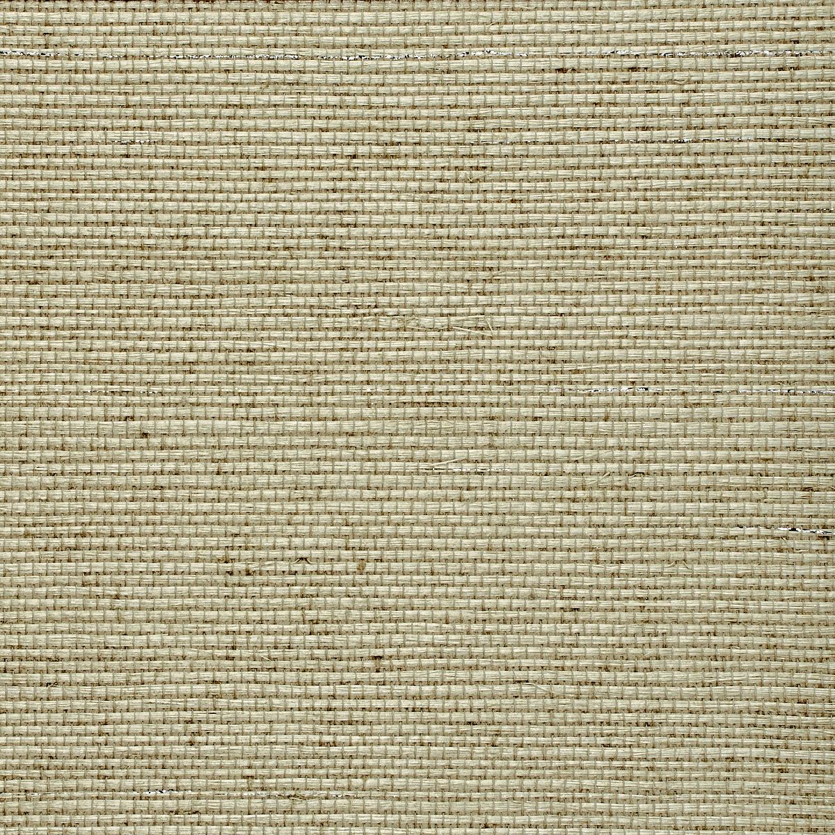 GLAM-GRASS-GENEVA-GREY-PHILLIP-JEFFRIES-5217 - Phillip Jeffries Wallpaper Wallpaper